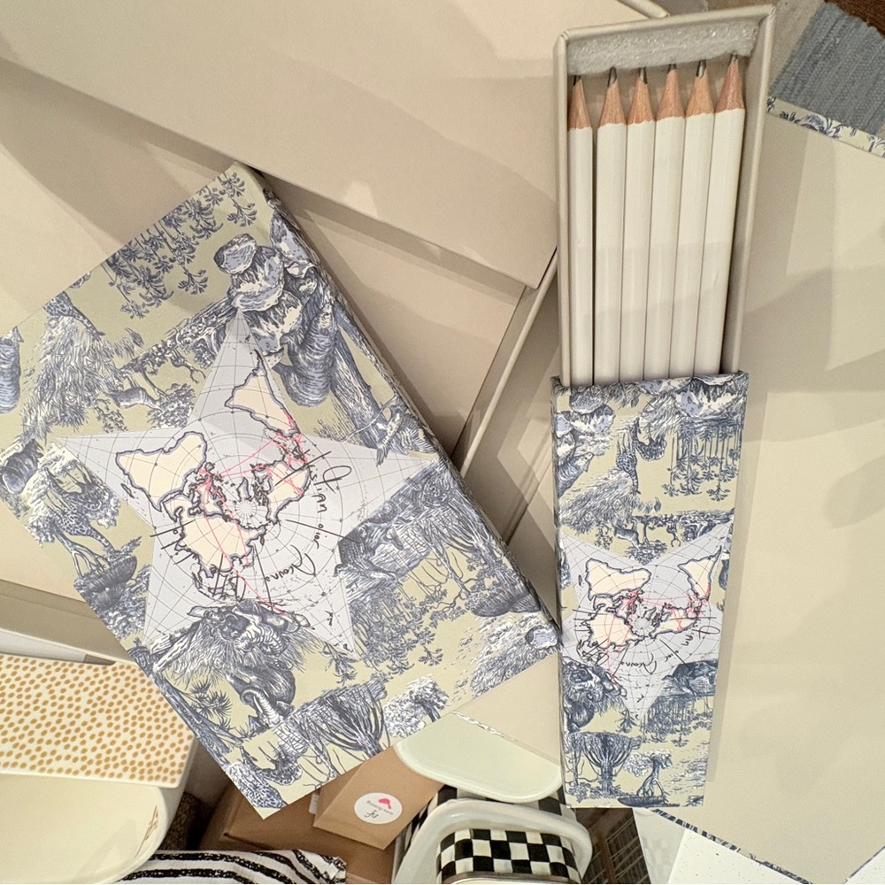 Dior Blue and White Notebook Set